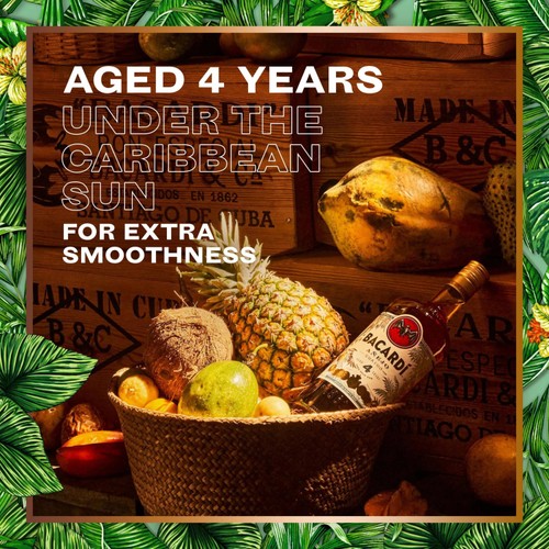 Bacardi Anjeo 4 Year Old Premium Aged Rum