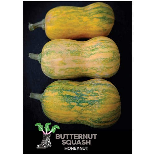 She Grows Veg Butternut Squash Honeynut Seeds