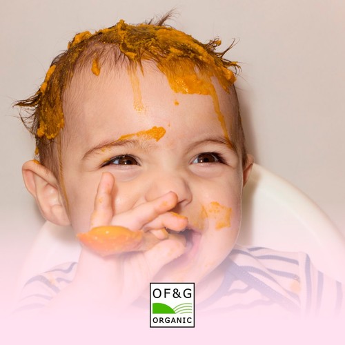 Little Freddie Organic Chickpea & Carrot Baby Food Pouch 6+ Months