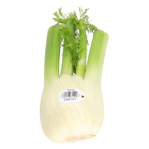 M&S Fennel