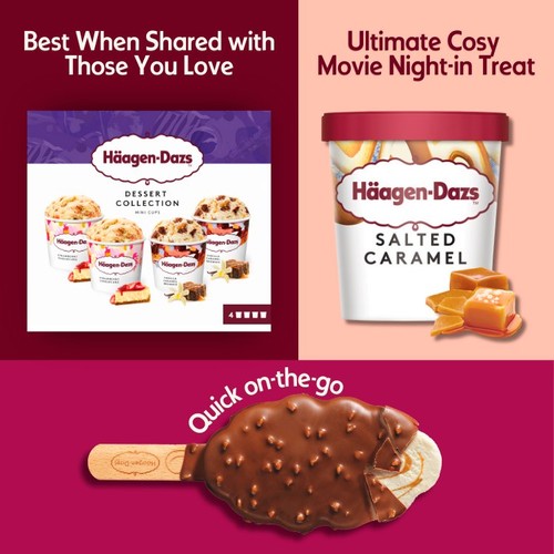 Haagen-Dazs Dessert Collection Mini Cups Ice Cream