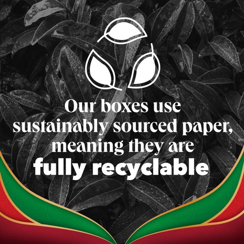 PG Tips English Breakfast Bold & Strong Plant Based Biodegradable Tea Bags