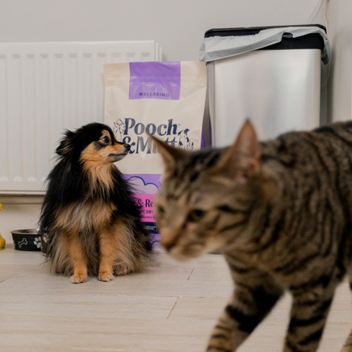 Pooch & Mutt Calm & Relaxed Complete Dry Dog Food