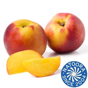 Natoora Yellow Nectarines