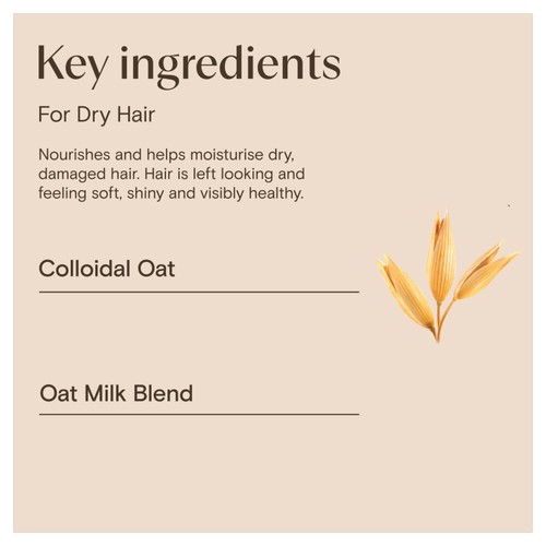 Aveeno Scalp Soothing Daily Moisture Oat Milk Conditioner for Dry Hair