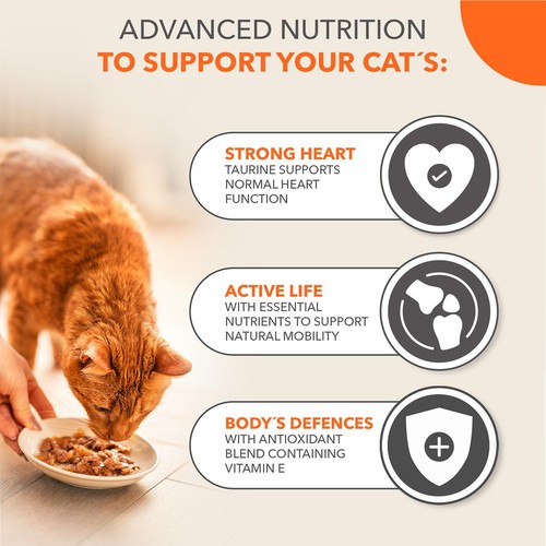 IAMS Senior Wet Cat Food Meat & Fish Variety Mix in Jelly