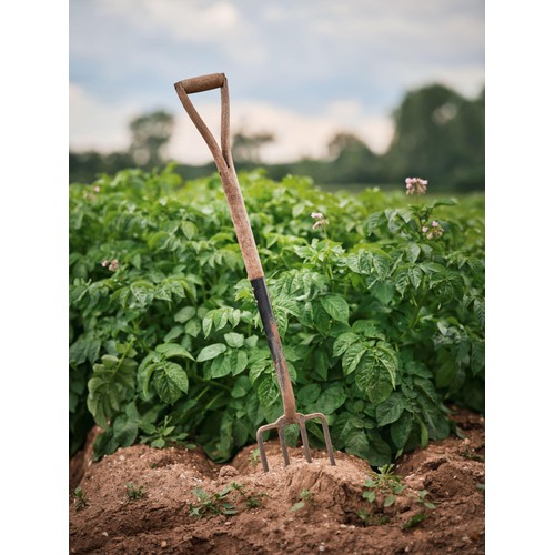 M&S Baby New Potatoes