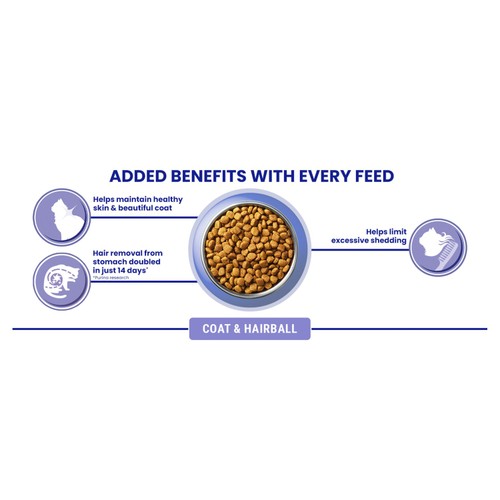 Purina One Coat and Hairball Chicken Dry Cat Food