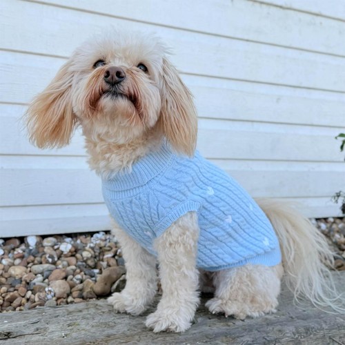 Cocopup Blue Heartstrings Jumper for Dog - S