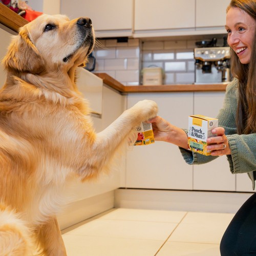 Pooch & Mutt Wet Dog Food Cartons Multipack