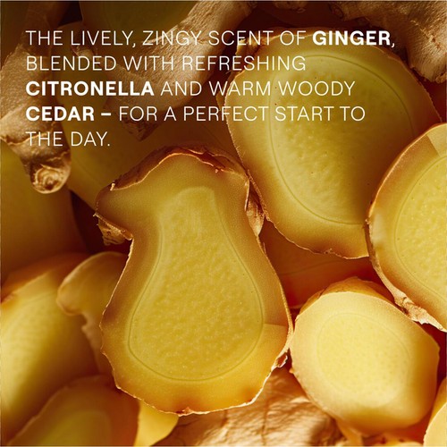 Weleda Ginger Energy Shower Gel Certified Natural