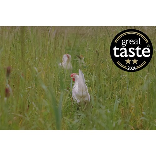 Packington Free Range White Eggs