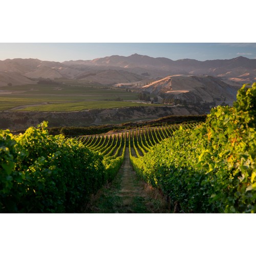 Villa Maria Cellar Selection Sauvignon Blanc
