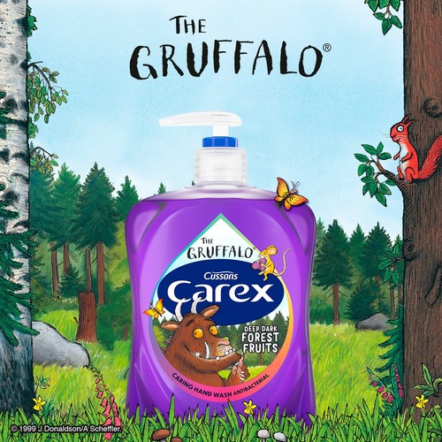 Carex The Gruffalo Forest Fruits Antibacterial Handwash