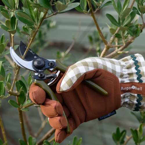Burgon & Ball Collectors Olive Micro Secateurs