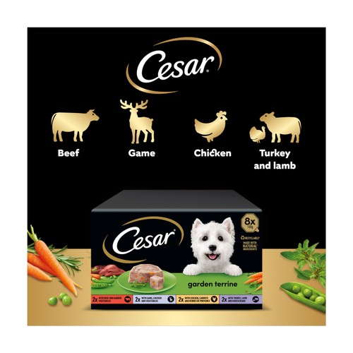 Cesar Garden Terrine Dog Food Tray Mixed in Loaf 