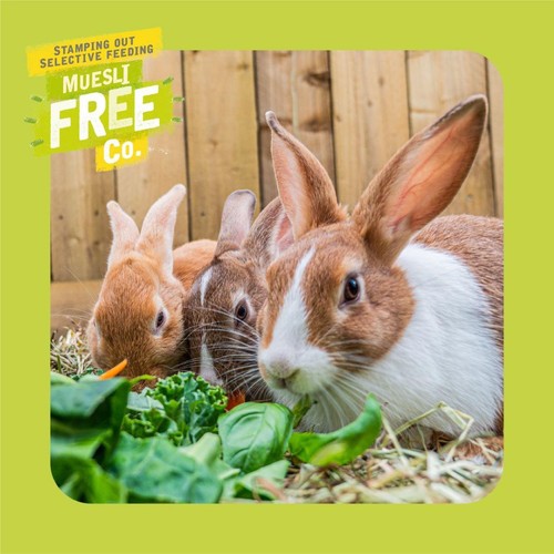 Burgess Excel Rabbit Adult Food with Mint