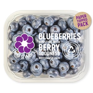 BerryWorld Blueberries