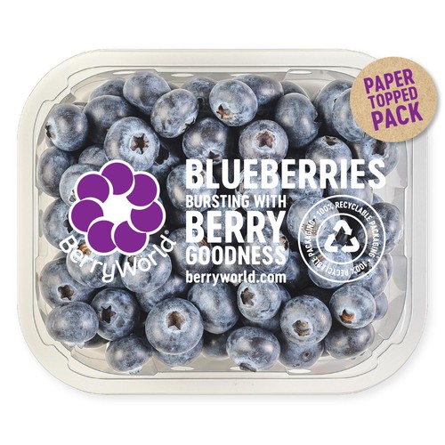 BerryWorld Blueberries
