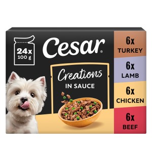 Senior 10+ Deliciously Fresh Dog Pouches Favourites in Jelly 40x100g