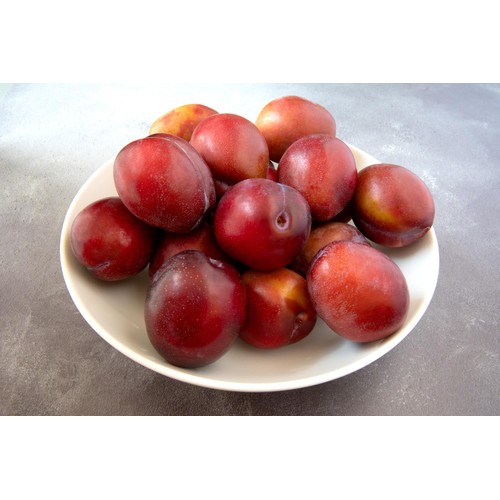 Diamond Crop Ripen at Home British Plum