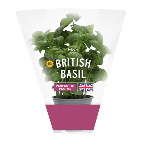 M&S British Basil Pot