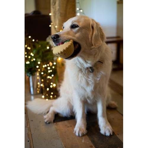 Petface Misha Mince Pie Latex Christmas Dog Toy