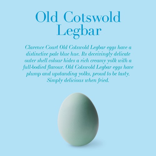 Clarence Court Cotswold Legbar 6 Free Range Blue Mixed Size Eggs
