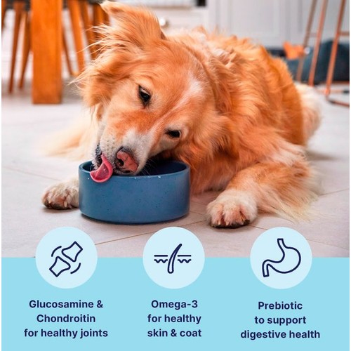 Tails.com Inner Vitality Medium & Large Adult Dog Dry Food Chicken