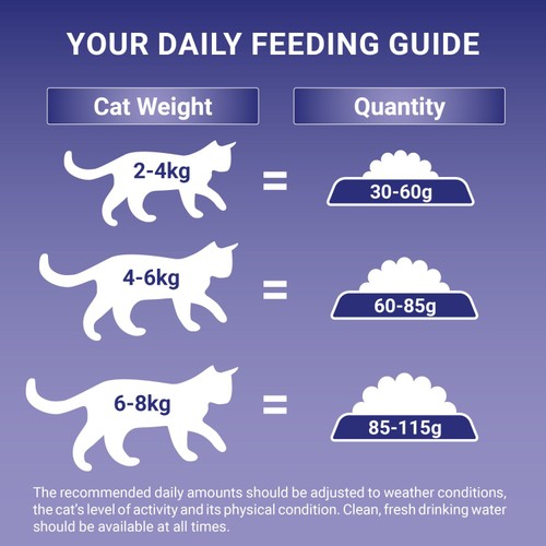 Purina One Chicken Dry Cat Food