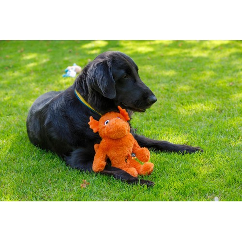 Petface Mighty Dragon Dog Toy