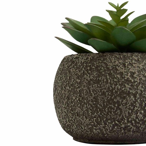M&S Moss & Sweetpea Artificial Mini Succulent Pot, One Size, Green