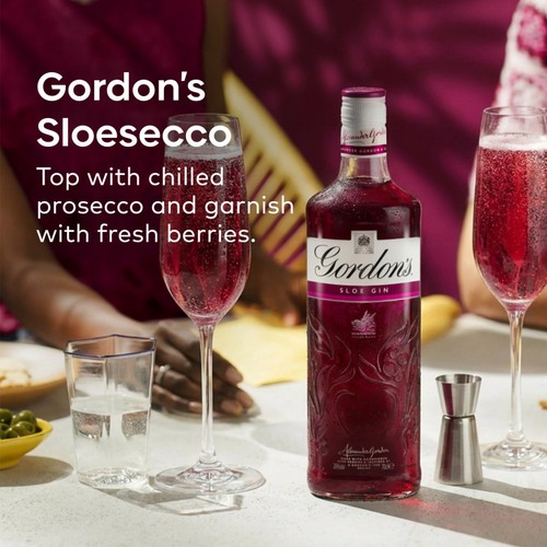 Gordon's Sloe Gin