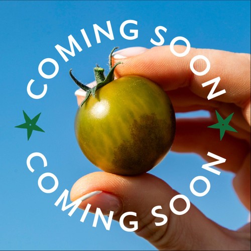 Isle of Wight Tomatoes Growers Discovery