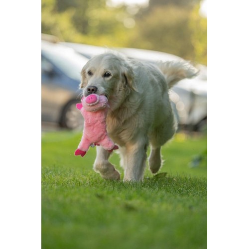 Petface Buddies Crinkle Flat Pig