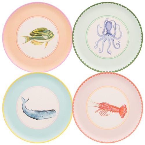 Yvonne Ellen Picnic Dinner Plates