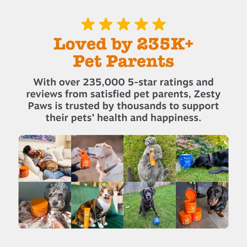 Zesty Paws Senior 9 in 1 Dog Chews Turkey Flavour