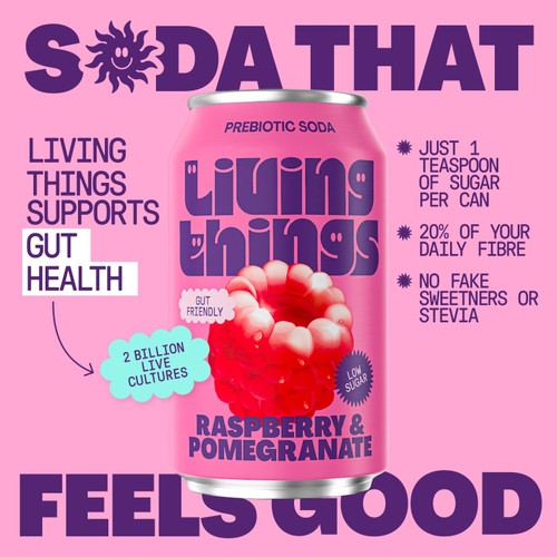 Living Things Raspberry & Pomegranate Biotic Soda