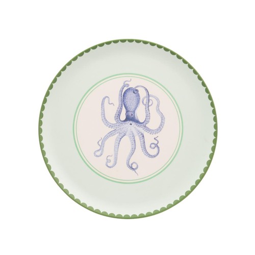 Yvonne Ellen Picnic Dinner Plates