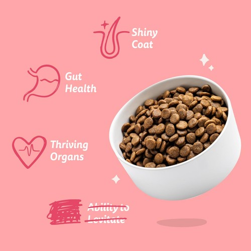 Edgard & Cooper Gluten Free Dry Dog Food Organic Beef & Free-Range Chicken
