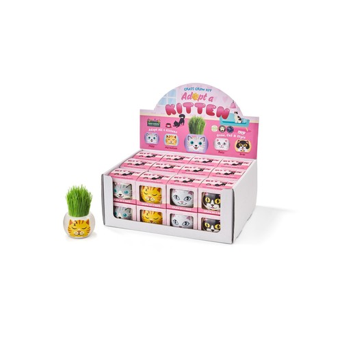 Mr Fothergills Seeds Grass Grow Kit Kittens
