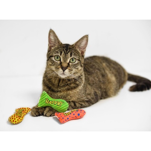 Yeowww Catnip Stinkies Sardine Tin Cat Toy