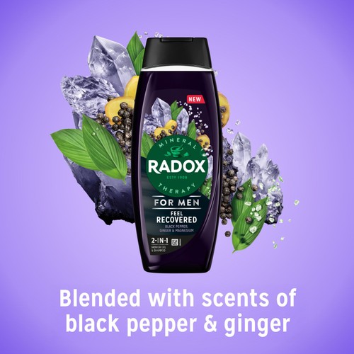 Radox Men Feel Recovered Shower Gel
