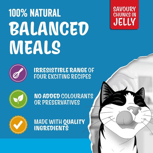 Felix Original Cat Food Senior 7+ Fish Selection in Jelly Wet Cat Food