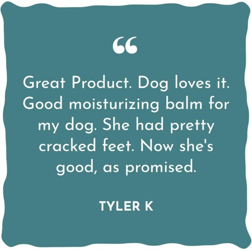 WildWash Magic Paw Balm
