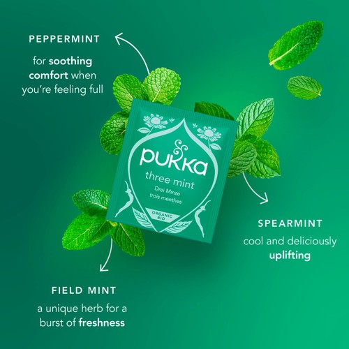 Pukka Organic Digest Collection Herbal Tea with Mint & Ginger