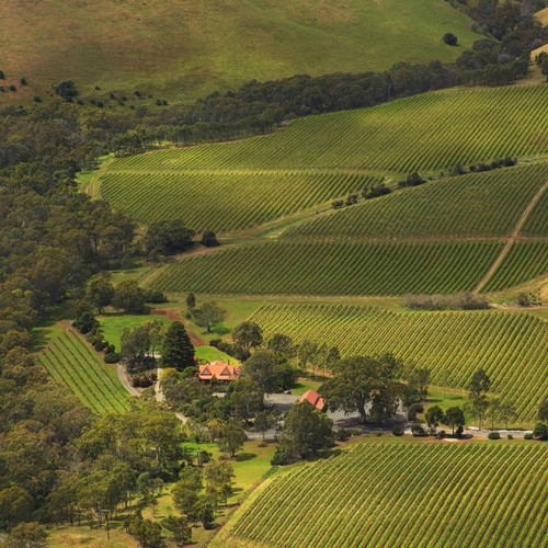 Jacob's Creek Shiraz