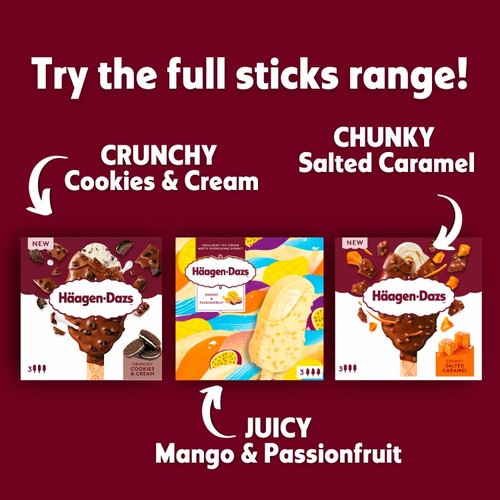 Haagen-Dazs Crunchy Cookies and Cream Ice Cream Stick
