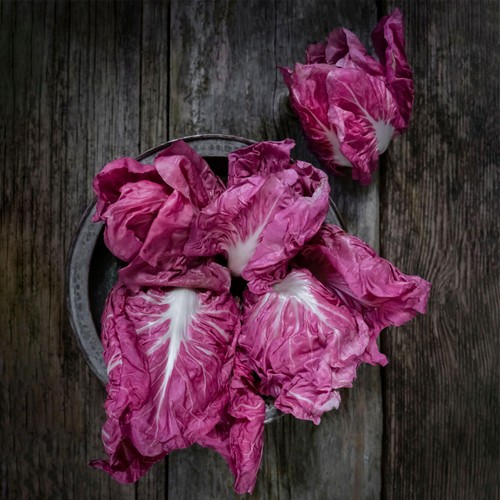 She Grows Veg Chicory Rose of Venice Seeds