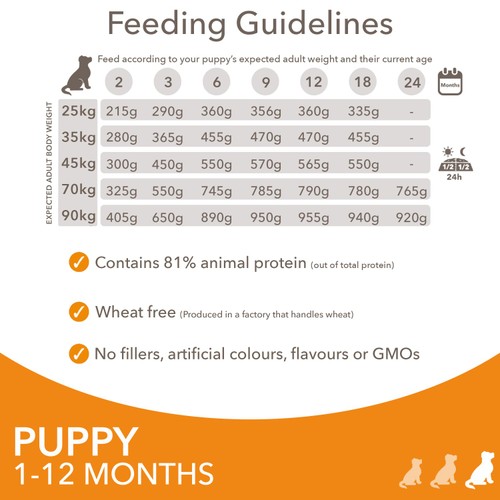 IAMS Advanced Nutrition Puppy Food Large Breed with Fresh Chicken